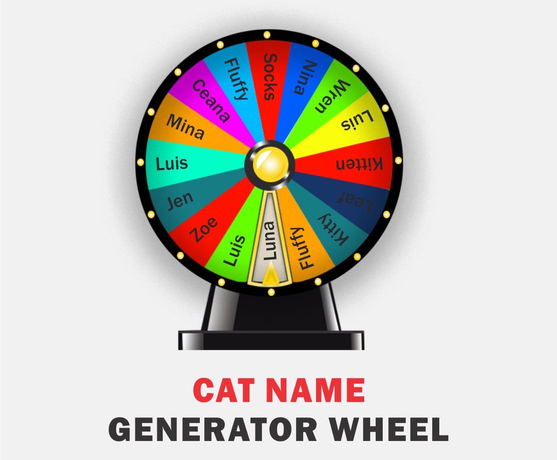 🐱 Cat Name Generator Spin the Wheel to Decide Random Cat Names 🐱