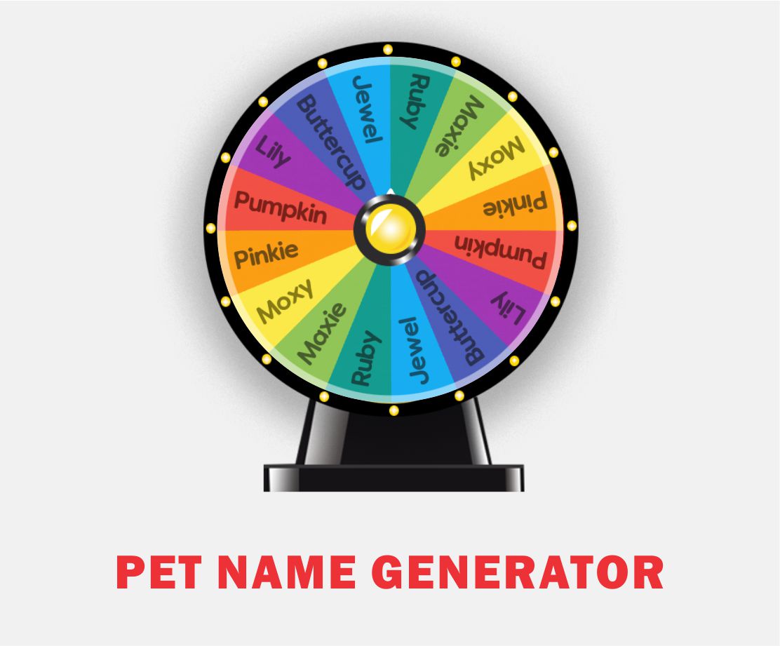 🐎 Pet Name Generator Spin the Wheel to get Random Pet Names 🐤
